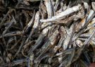 صادرات سه هزار و ۲۰۰ تن ماهی خشک از جزیره قشم