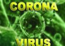 مبتلایان به ویروس کرونا به ۴۳ نفر رسید/۸ نفر جان باختند