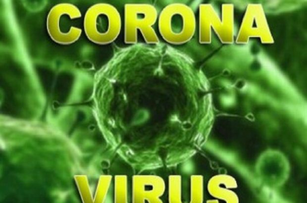 مبتلایان به ویروس کرونا به ۴۳ نفر رسید/۸ نفر جان باختند