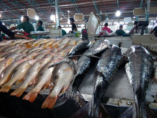 شهروندان بندرعباس از دست فروشان ماهی خرید نکنند