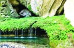 سفری مجازی به کوهستان غربی فارغان