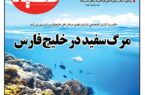 شماره پنجاه و سوم نشریه دلفین منتشر شد