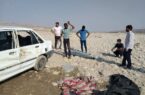 تراژدی سقوط در جاده‌ی مرگ / بازدیدهای بی‌ثمر راهداری هرمزگان