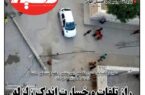 شماره هشتادم نشریه دلفین منتشر شد