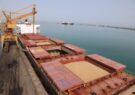 تخلیه سه فروند کشتی حامل کالاهای اساسی در بندر شهید رجایی