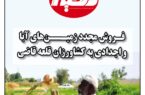 شماره ۱۳۵ نشریه دلفین منتشر شد