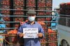 پیاز خداتومان و گوجه مجانی/وعده‌ی سرخرمن مویدی به گوجه‌کاران هرمزگان